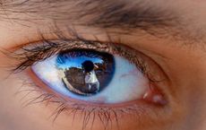 Article Image for Biometric Authentication Replaces Passwords