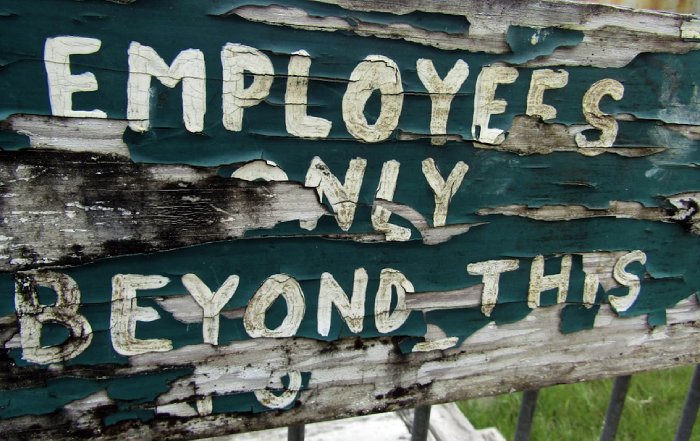 Article Image for Businesses Adapt Hiring Strategies in a Competitive Labor Market