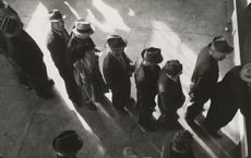 Article Image for Employment Shifts in the Age of Generative AI