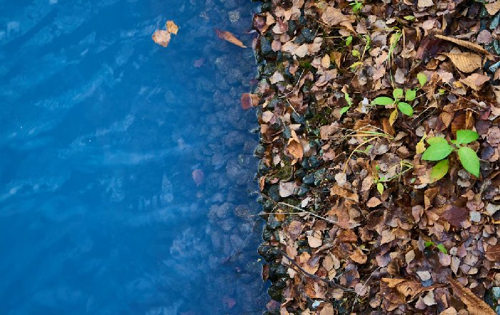 Article Image for ESG Reporting Standards Face Consolidation