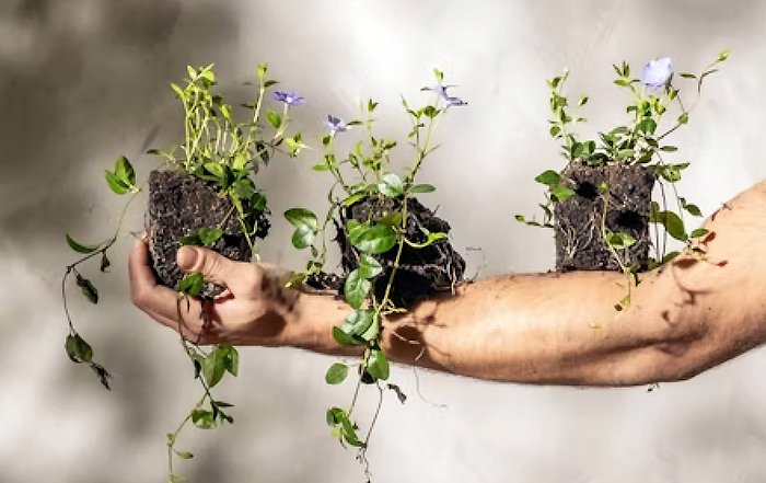 Article Image for How ESG Investing Is Influencing Executive-Level Decisions