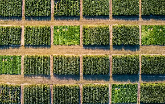Article Image for How Space-Based Data is Revolutionizing Agriculture