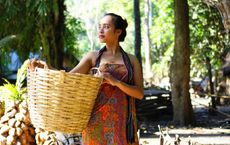 Article Image for Indigenous Knowledge Informs Sustainable Business Practices