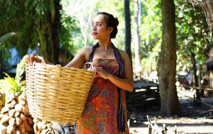 Article Image for Indigenous Knowledge Informs Sustainable Business Practices