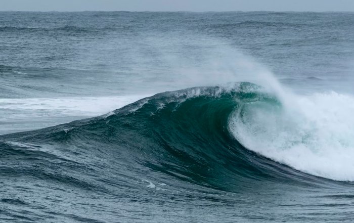 Article Image for Ocean Economy Presents Untapped Potential