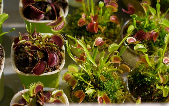 Article Image for Sustainable Business Practices That Actually Boost Profits