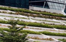 Article Image for The Role of Technology in Advancing Sustainability