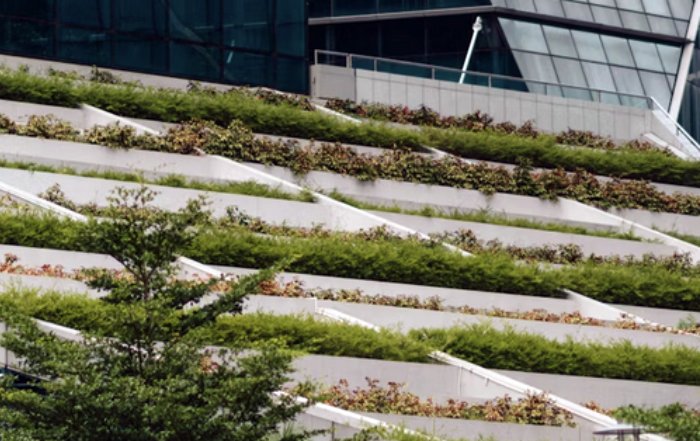 Article Image for The Role of Technology in Advancing Sustainability