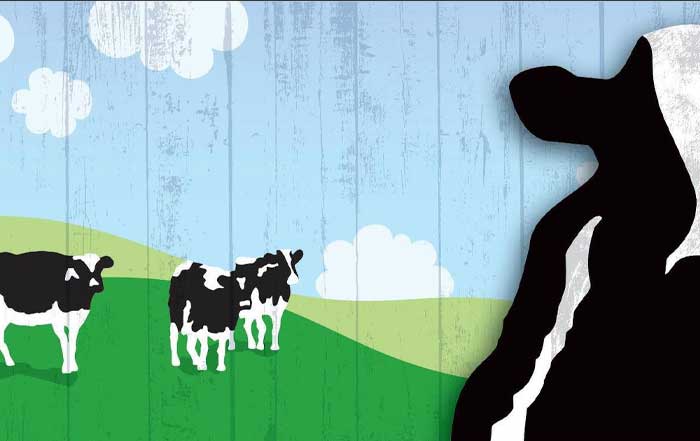 Top 10 Eco-Friendly Business Practices Leading Brands in Action