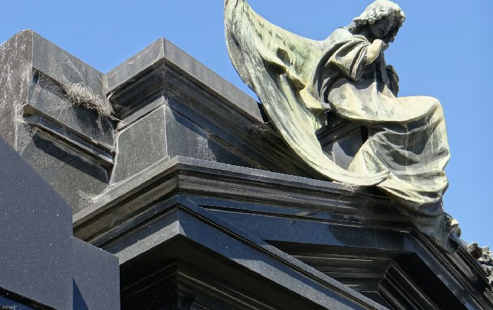 Article Image for Why Institutional Capital Is Flowing into Crypto Again